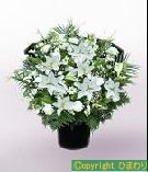 葬儀 洋花 籠花 ご供花