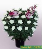 葬儀 和花 籠花 ご供花