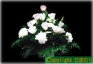 葬儀 焼香花