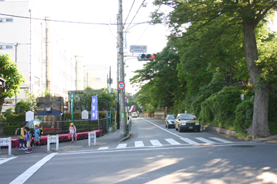 宝亀閣はこの先約150m