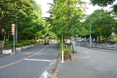 さくらの辻公園