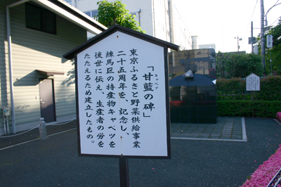 キャベツを漢字で書くと甘藍